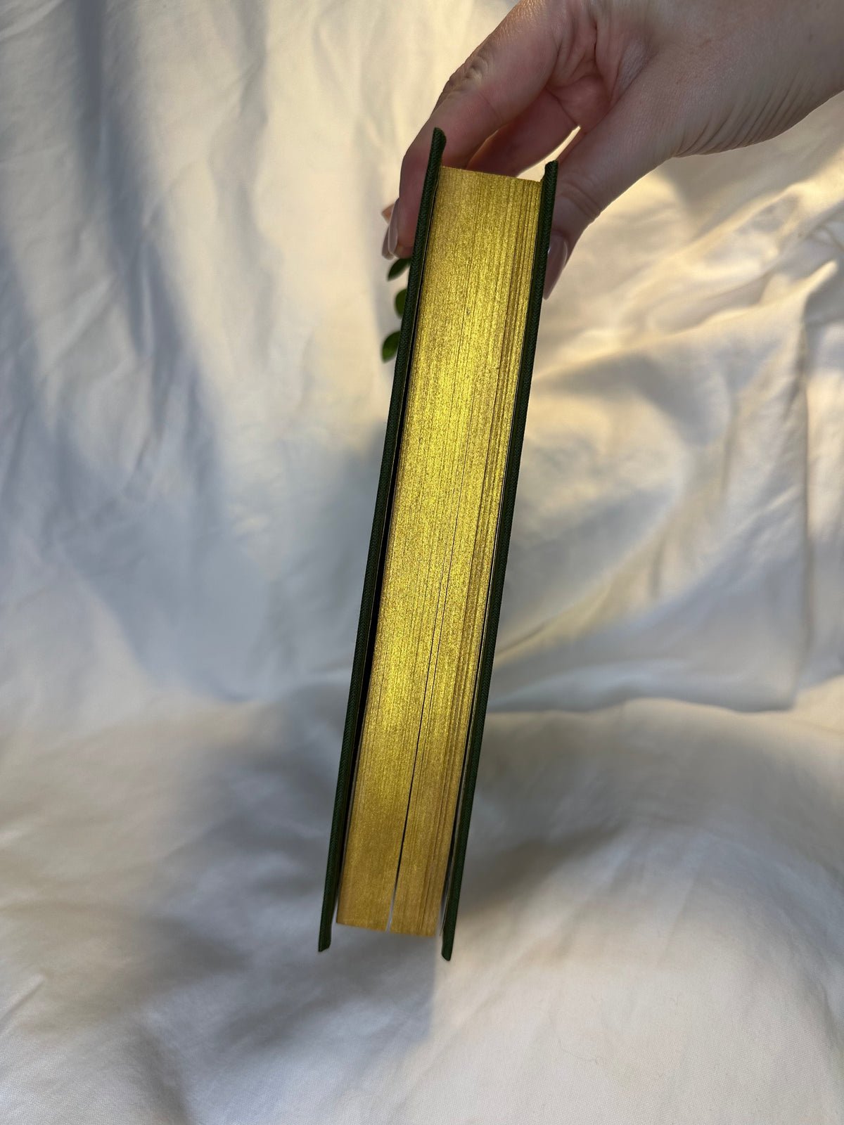 The Cruel Prince Series Rebind | The Queen of Nothing | The Wicked King | Folk of the Air Series | Special Edition Rebind | Book Binder