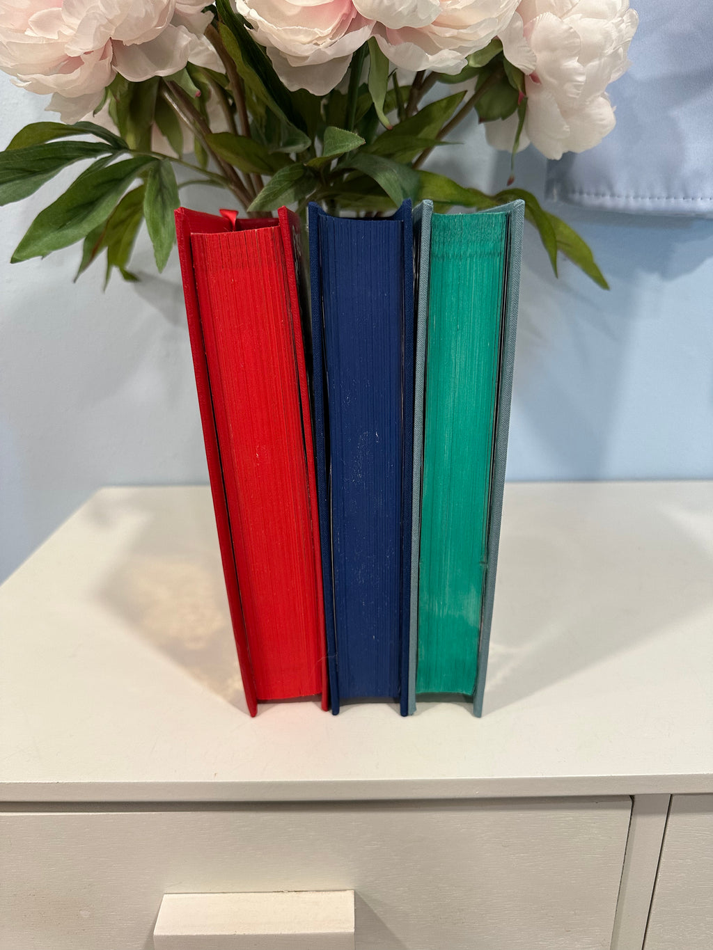 Lightlark, Nightbane, Skyshade Rebind | Romantasy | Custom Books | Special Edition Rebind | Rebound Book | Tiktok Book Binder | BookTok
