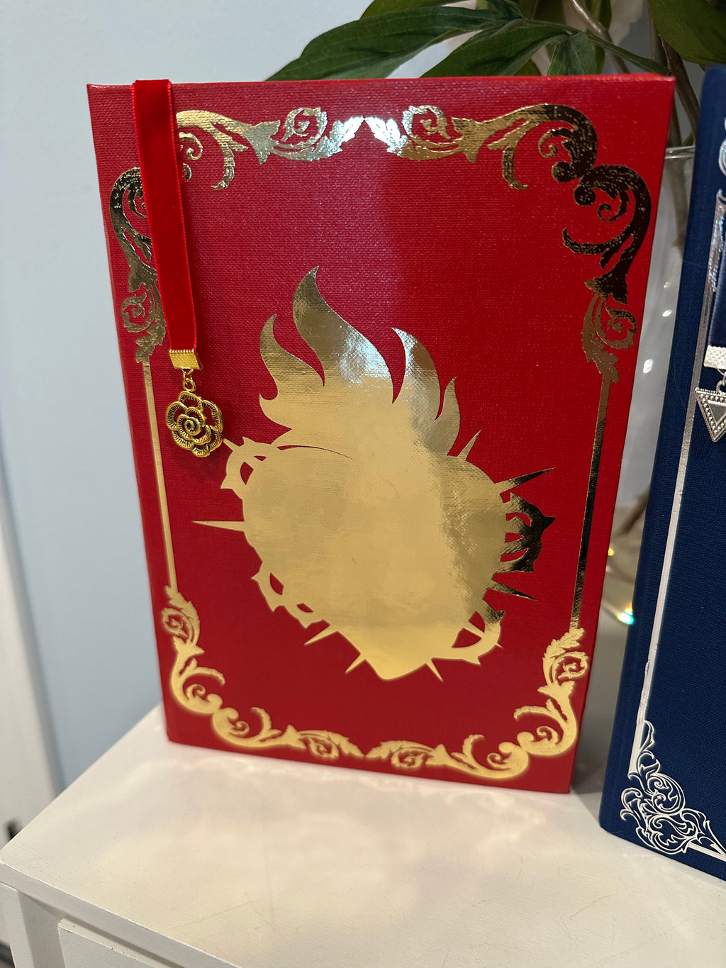 Lightlark, Nightbane, Skyshade Rebind | Romantasy | Custom Books | Special Edition Rebind | Rebound Book | Tiktok Book Binder | BookTok