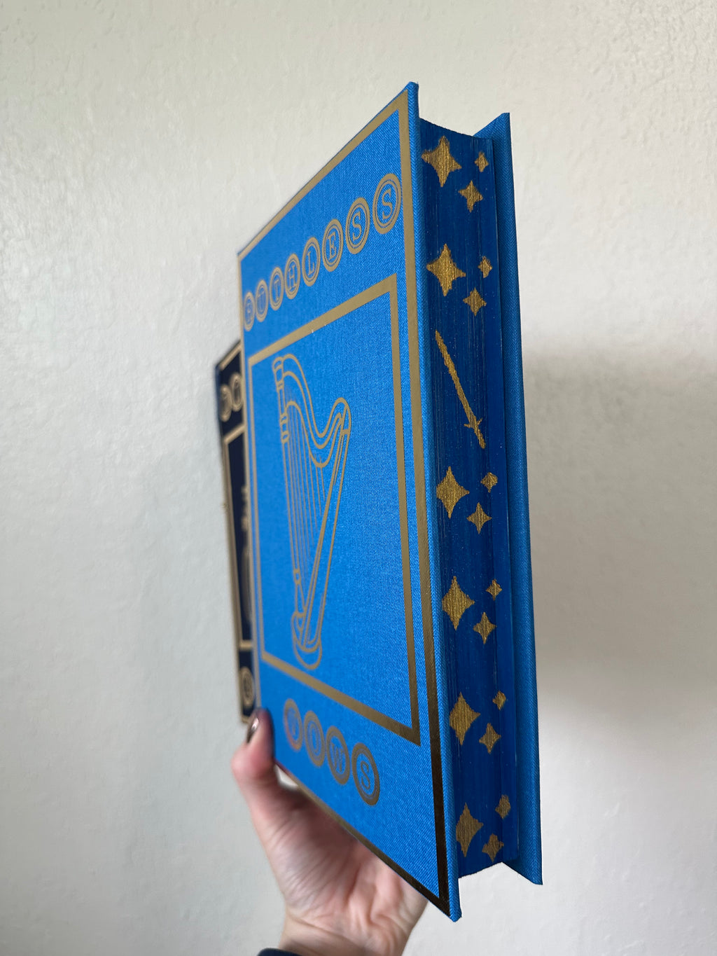 Divine Rivals & Ruthless Vows Rebind | Rebecca Ross | Custom Books | Special Edition Rebind | Rebound Book | Tiktok Book Binder | BookTok
